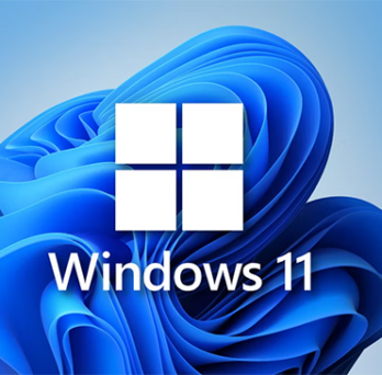 Windows 11 logo 